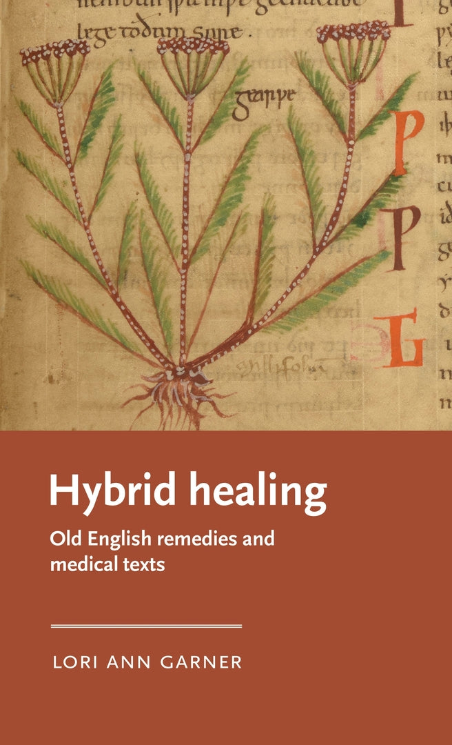 Cover image for Hybrid healing ISBN 9781526158499